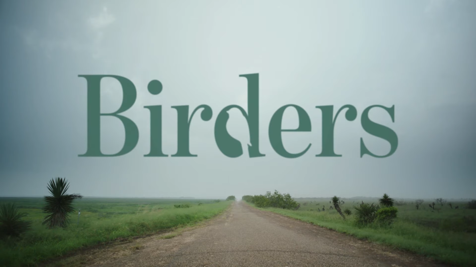 Birders [TRAILER] Coming to Netflix September 25, 2019 2