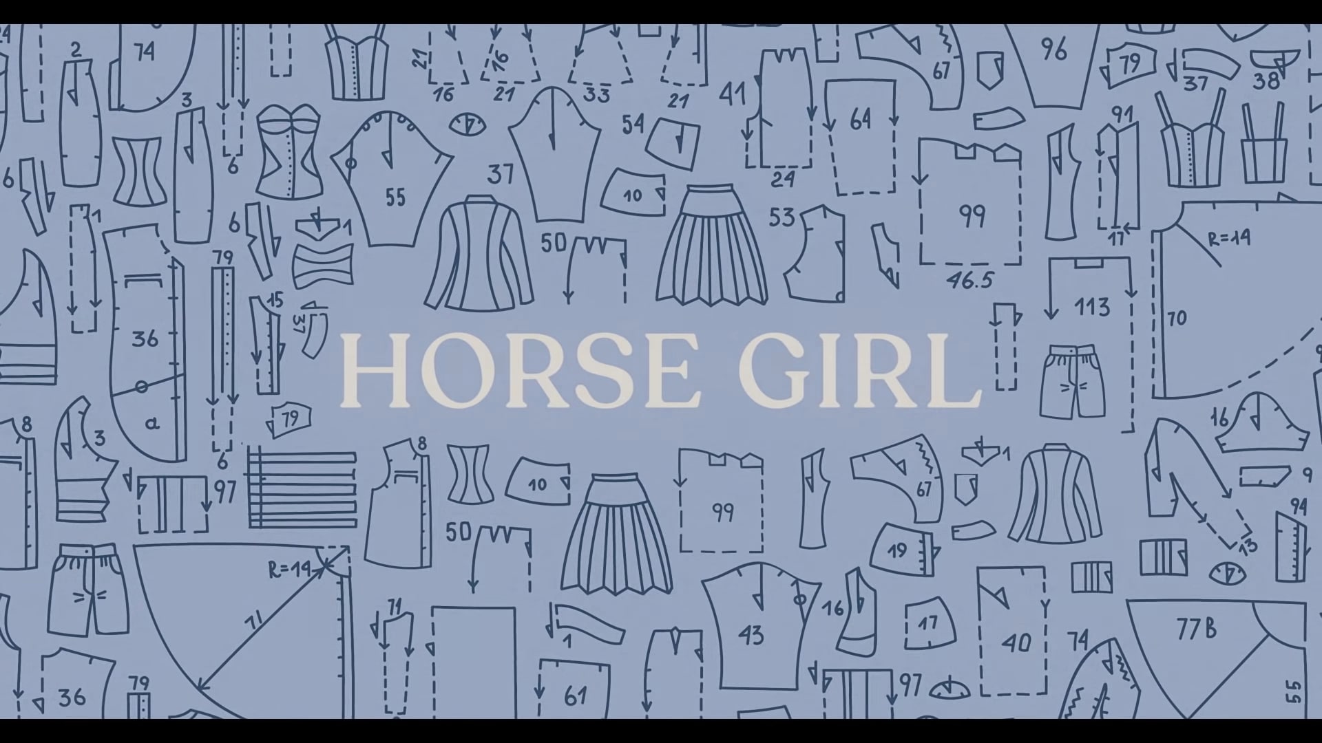 Horse Girl Netflix Trailer, Netflix Short Movies, Netflix Comedy Movies, Netflix Drama Movies, Coming to Netflix in February 2020