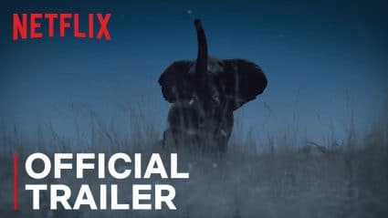Night on Earth Netflix Trailer, Netflix Nature Series, Netflix Science Shows, Netflix Documentary Series, Coming to Netflix in January 2020