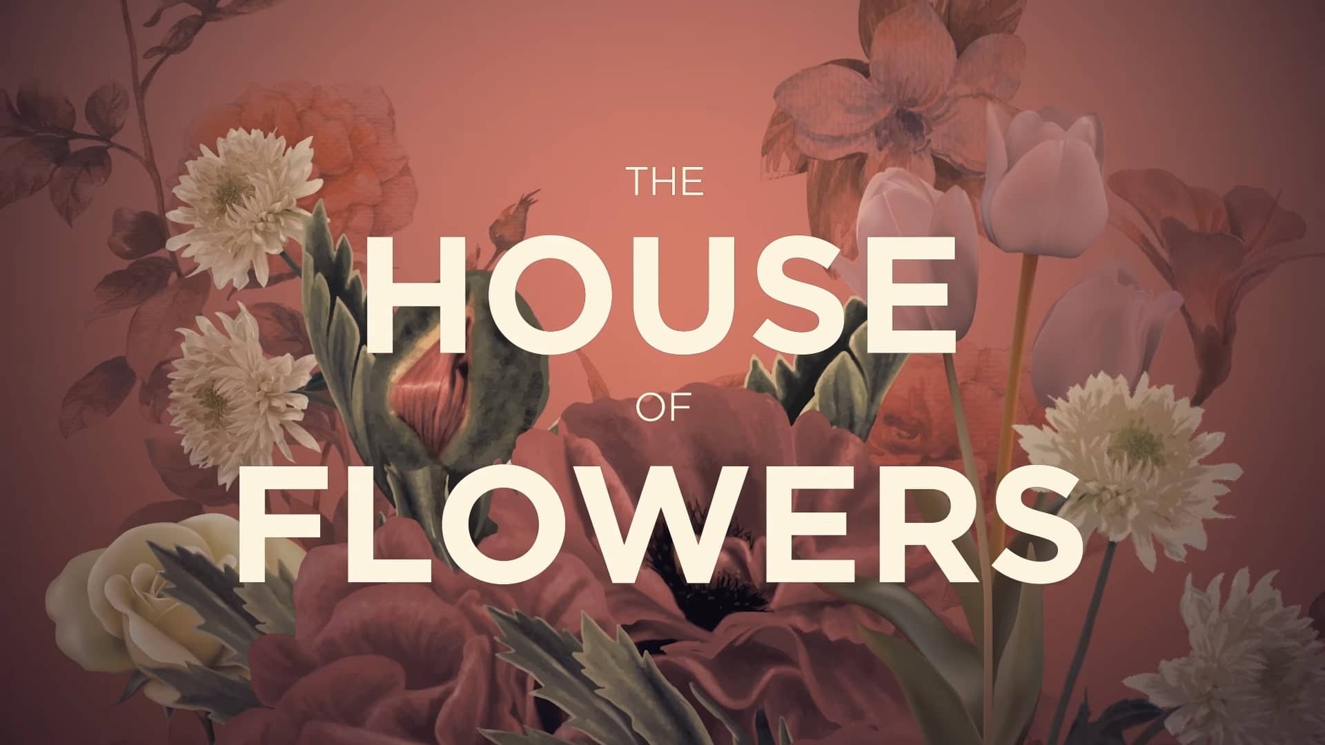 The House of Flowers Final Season Trailer, Netflix Trailers, Netflix Comedy Series, La casa de las flores Final Season Trailer, Coming to Netflix in April 2020