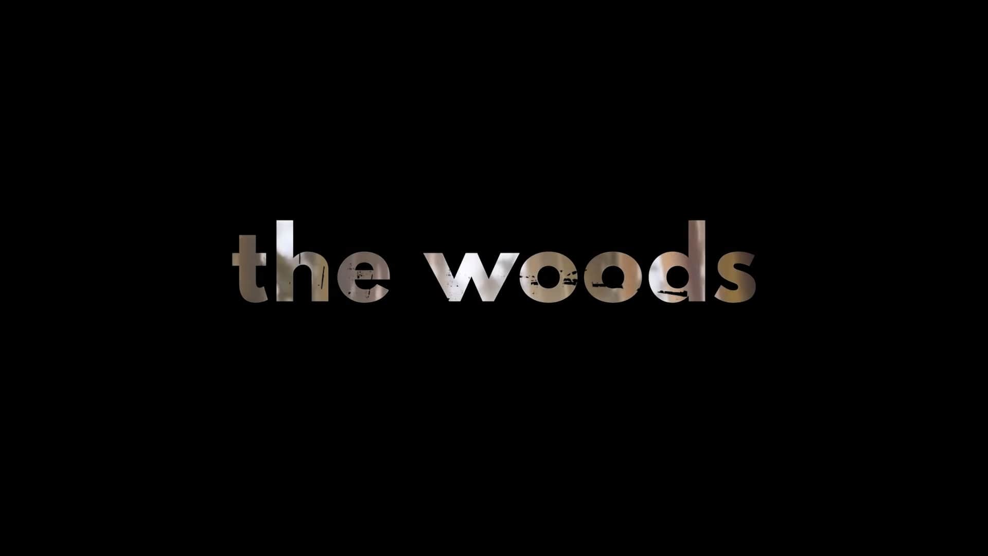 Netflix The Woods Trailer, Netflix Dramas, Netflix Mystery Shows, Coming to Netflix in June 2020, Harlan Coben The Woods Amazon Books