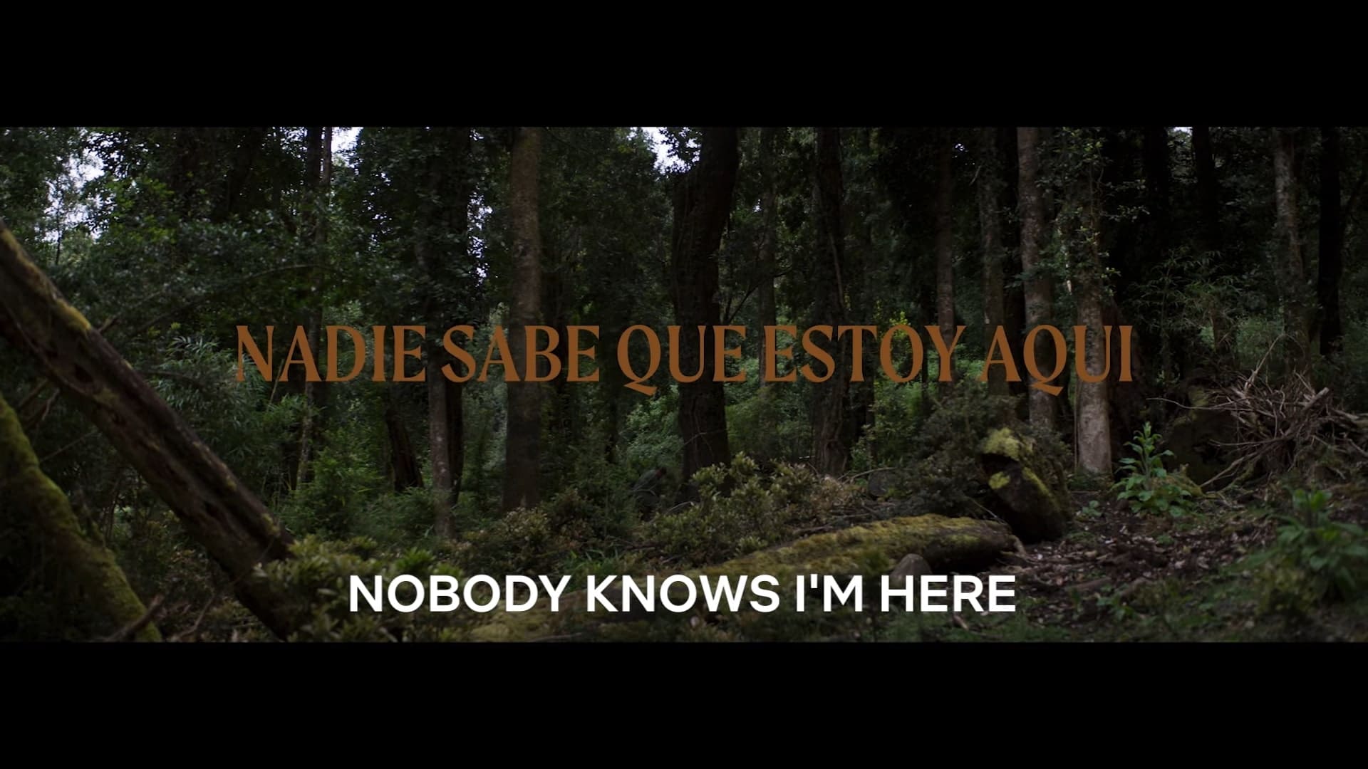 Nobody Knows I'm Here Netflix Trailer, Netflix Drama Film, Netflix Nadie Sabe Que Estoy Aquí, Coming to Netflix in June 2020