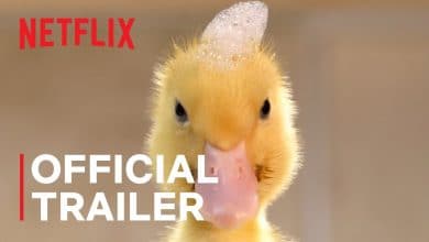 Netflix Tiny Creatures Trailer, Netflix Nature Documentaries, Best Netflix Documentaries, Coming to Netflix in August 2020