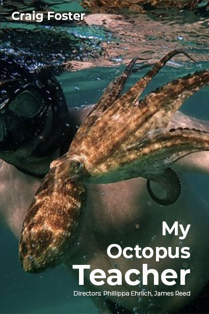 Netflix My Octopus Teacher Trailer, Netflix Nature Shows, Netflix Documentaries, Coming to Netflix in September 2020