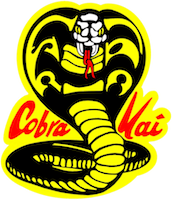 Cobra Kai Products, Cobra Kai Amazon