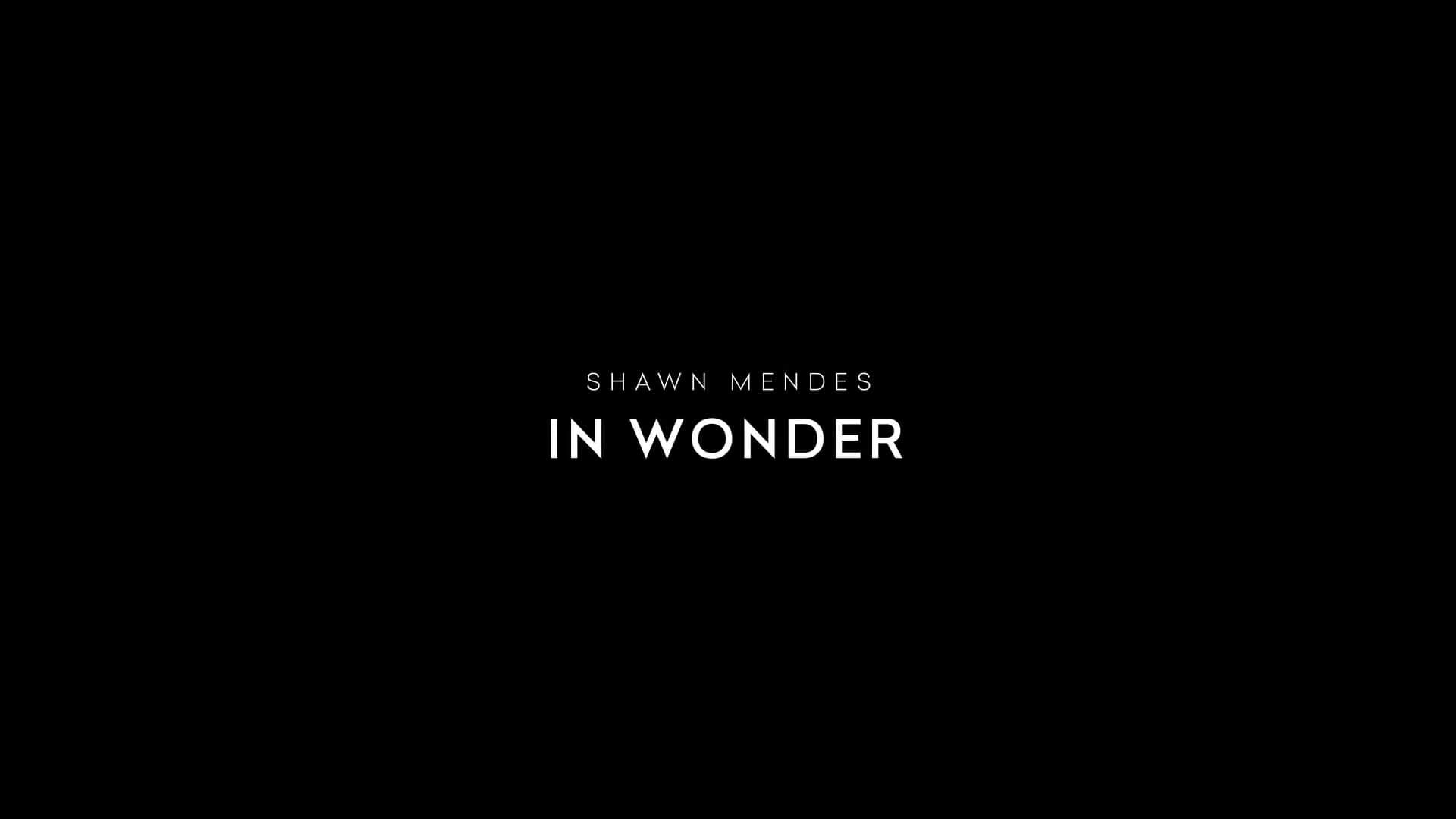 Netflix Shawn Mendes In Wonder Trailer, Netflix Documentary, Netflix Music Specials, Coming to Netflix in November 2020