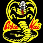 Cobra-Kai Hoodie