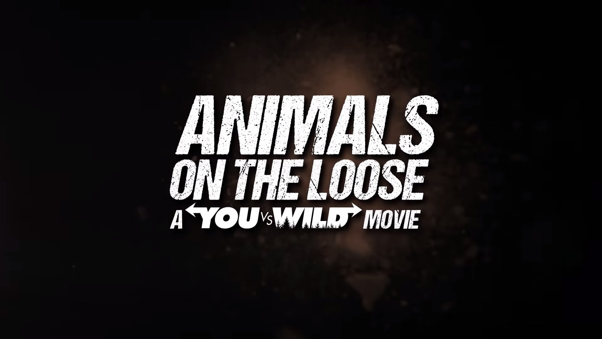 Netflix Animals on the Loose A You vs Wild Interactive Movie Trailer, Netflix Interactive Movies, Netflix Nature Movies, Coming to Netflix in February 2021