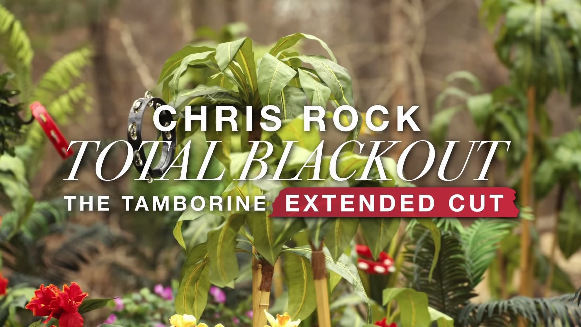 Netflix Chris Rock Total Blackout The Tamborine Extended Cut Trailer, Netflix Comedy, Netflix Standup Comedy, Coming to Netflix in January 2021
