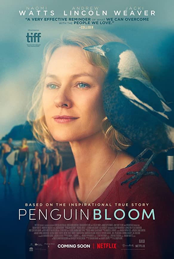 Netflix Penguin Bloom Trailer, Netflix Drama Movies, Coming to Netflix in January 2021