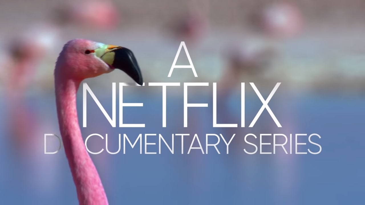 Netflix Life in Color with David Attenborough Trailer, Netflix Nature Documentary, Coming to Netflix in April 2021
