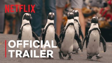Netflix Penguin Town Trailer, Coming to Netflix in June 2021