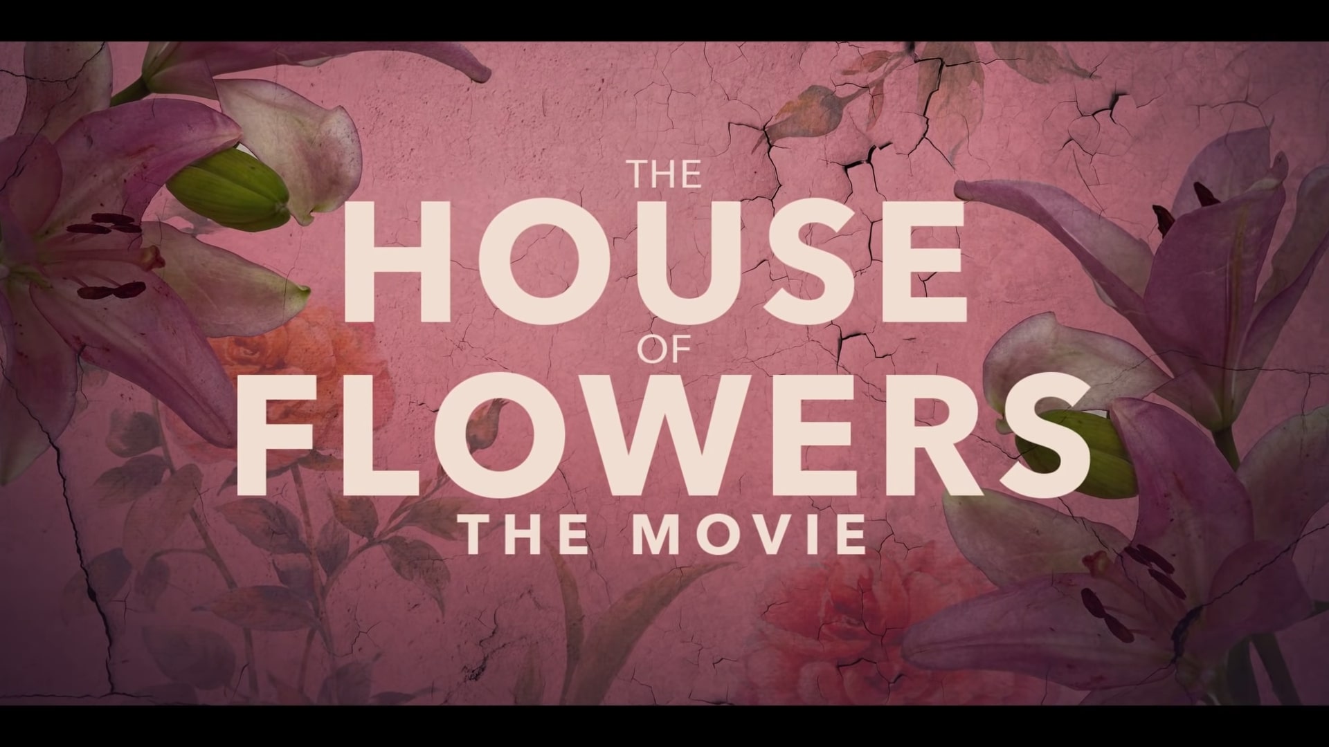 The House of Flowers, the Movie Netflix Trailer, Coming to Netflix in June 2021