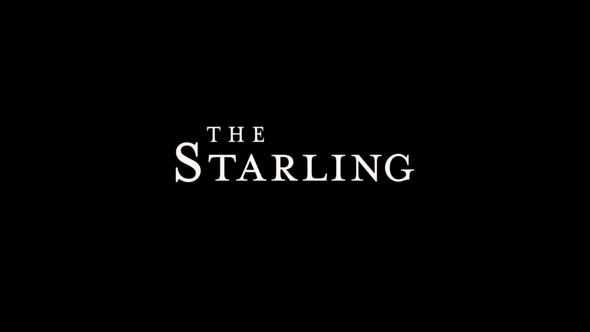 Netflix The Starling Trailer, Coming to Netflix in September 2021