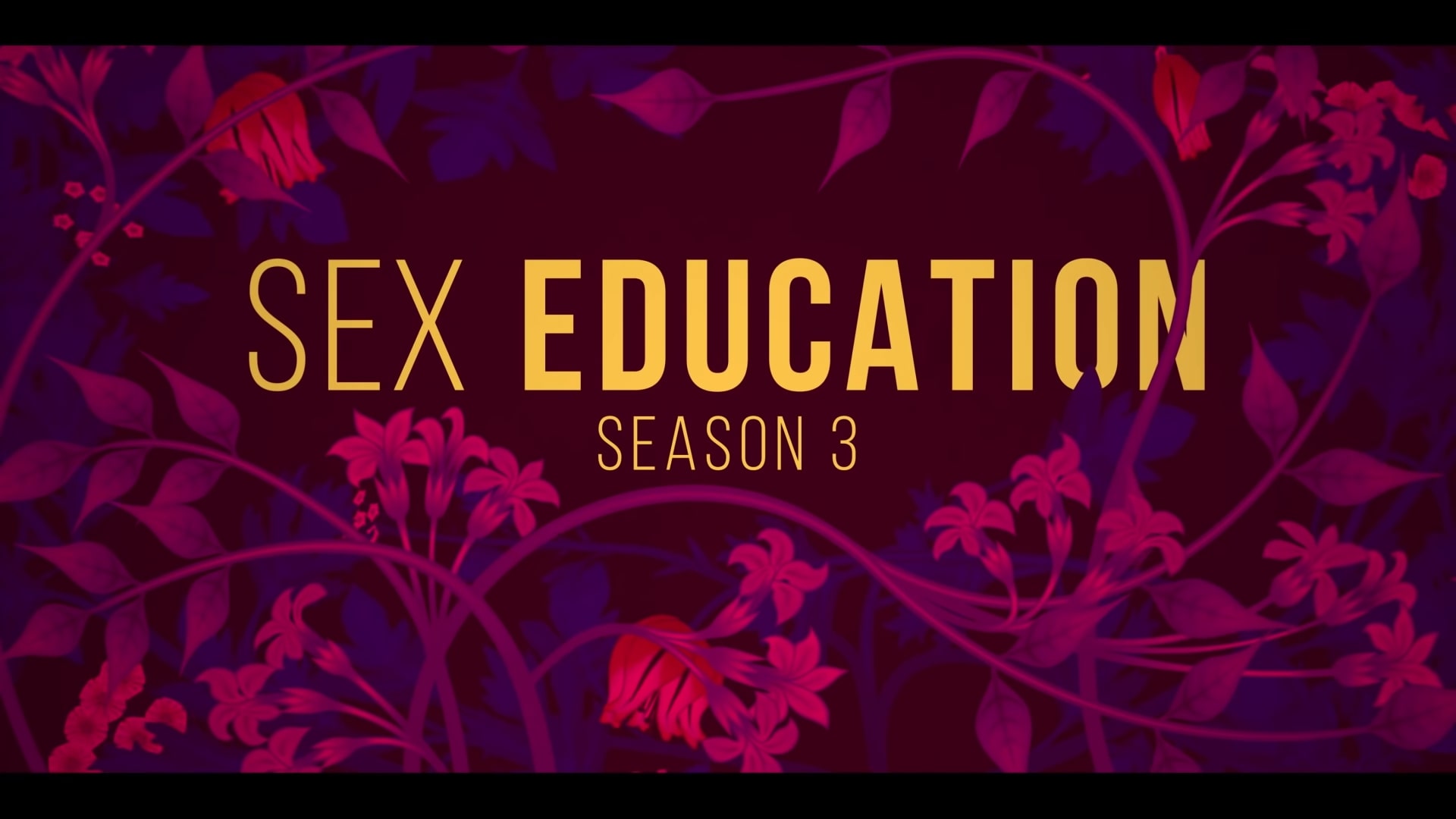 🎬 Sex Education Season 3 Trailer Coming To Netflix September 17 2021